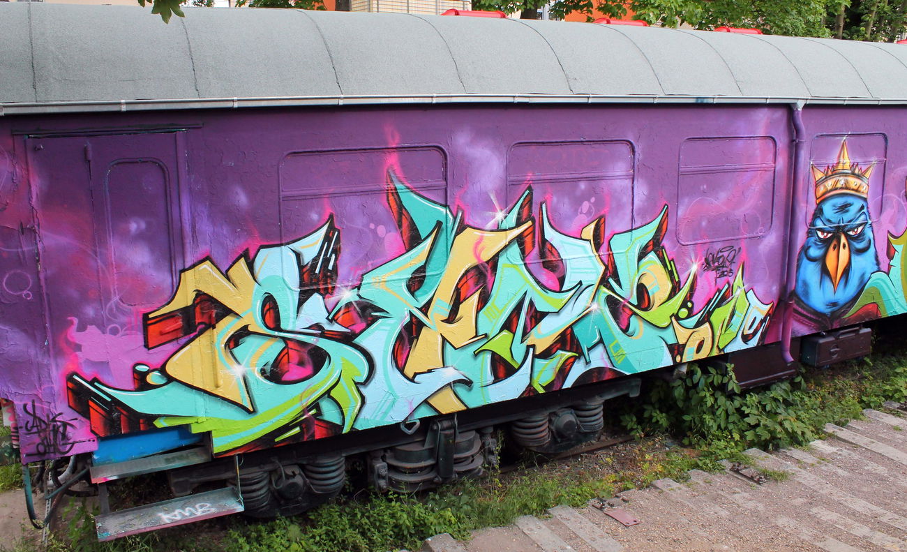 Graffiti Train - Photo by SANZONE (2015)