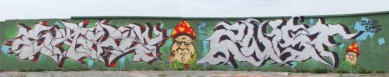 Graffiti Wall - Photo by SANZONE (2015)