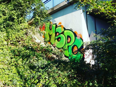 Graffiti Wall - Photo by SBGraffiti - saarSaarbrücken, graffgraffitimspccrewmontanamolotow