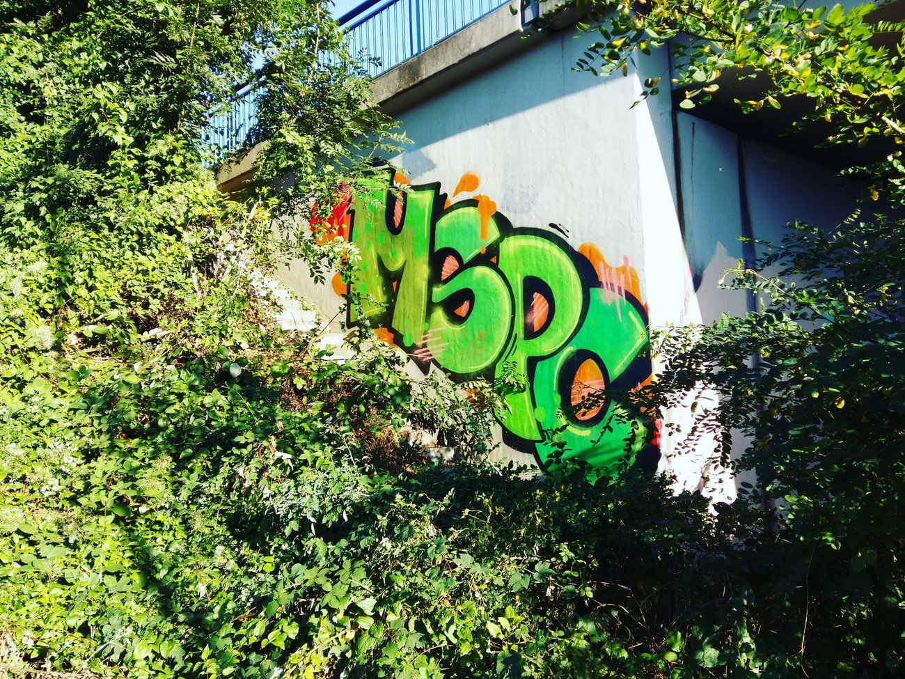 Graffiti Wall - Photo by SBGraffiti - saarSaarbrücken, graffgraffitimspccrewmontanamolotow