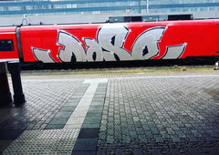 Photo #198236 by Belt