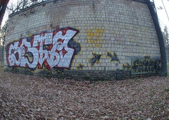 Photo #45126 by inkfcr