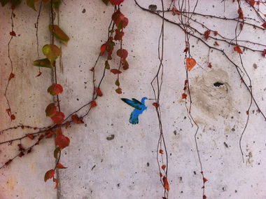 Graffiti Street Art - Photo by SCRAAT (2013)