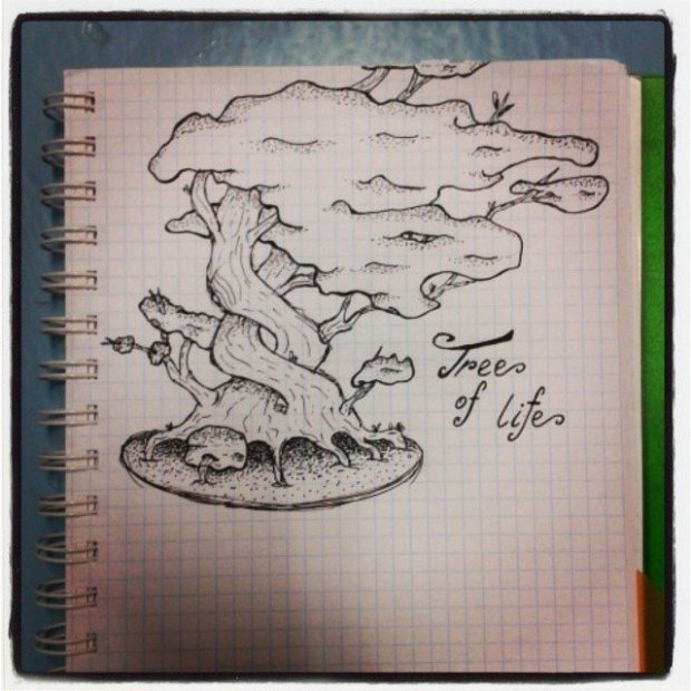 Graffiti Sketch - Photo by SCRIM - scrim, tree, of (2014)