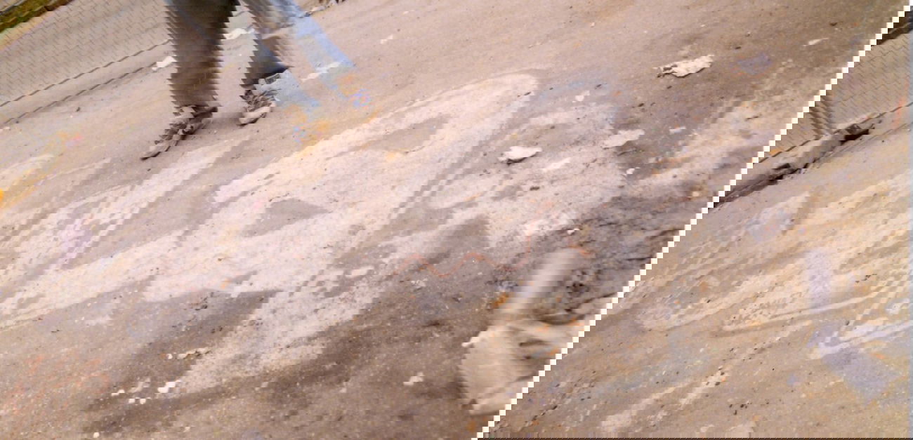 Graffiti Wall - Photo by SEAN - a, bombin, clan (1989)