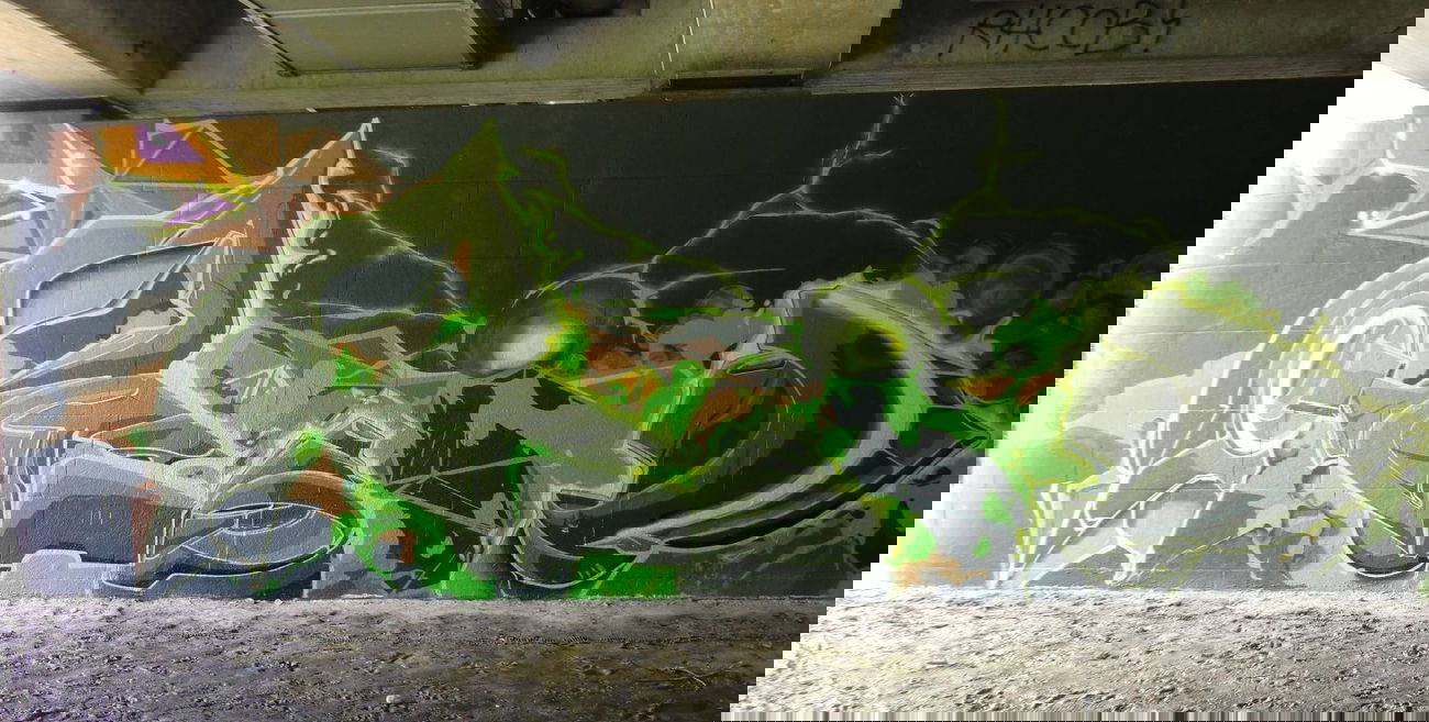 Graffiti Wall - Photo by SEAN