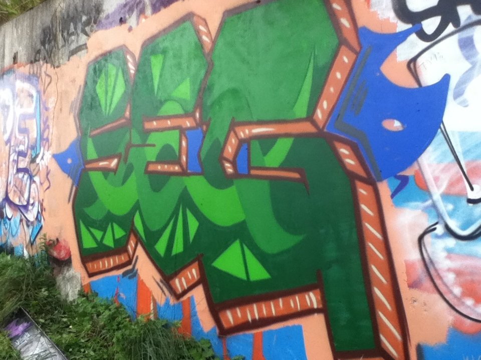 Graffiti Wall - Photo by SEGR_EPR - SEGR, EPR (2013)