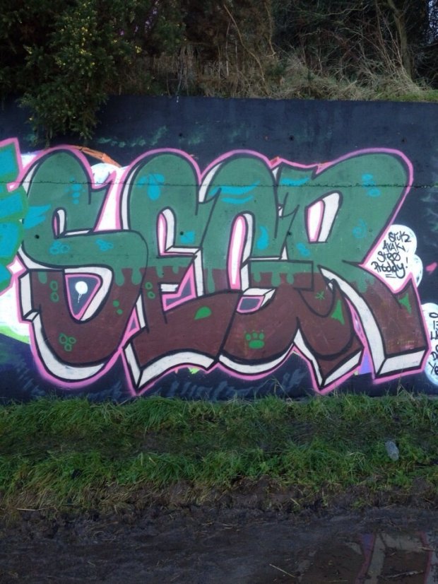 Graffiti Wall - Photo by SEGR_EPR - SEGR, EPR (2013)