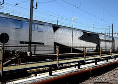 Photo #63497 by JustTheG