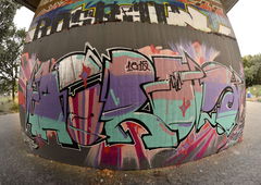 Photo #164953 by bommerlunder