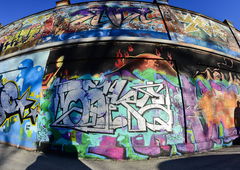 Photo #165110 by bommerlunder