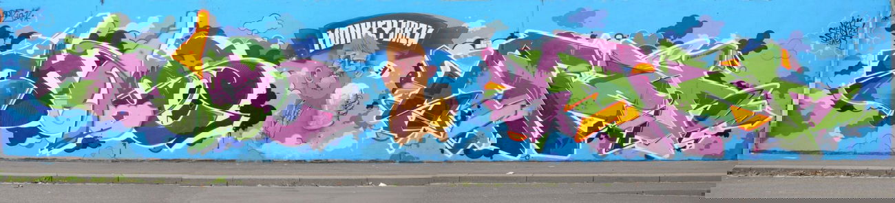 Graffiti Wall in Würzburg - Photo by SEWER (2011)