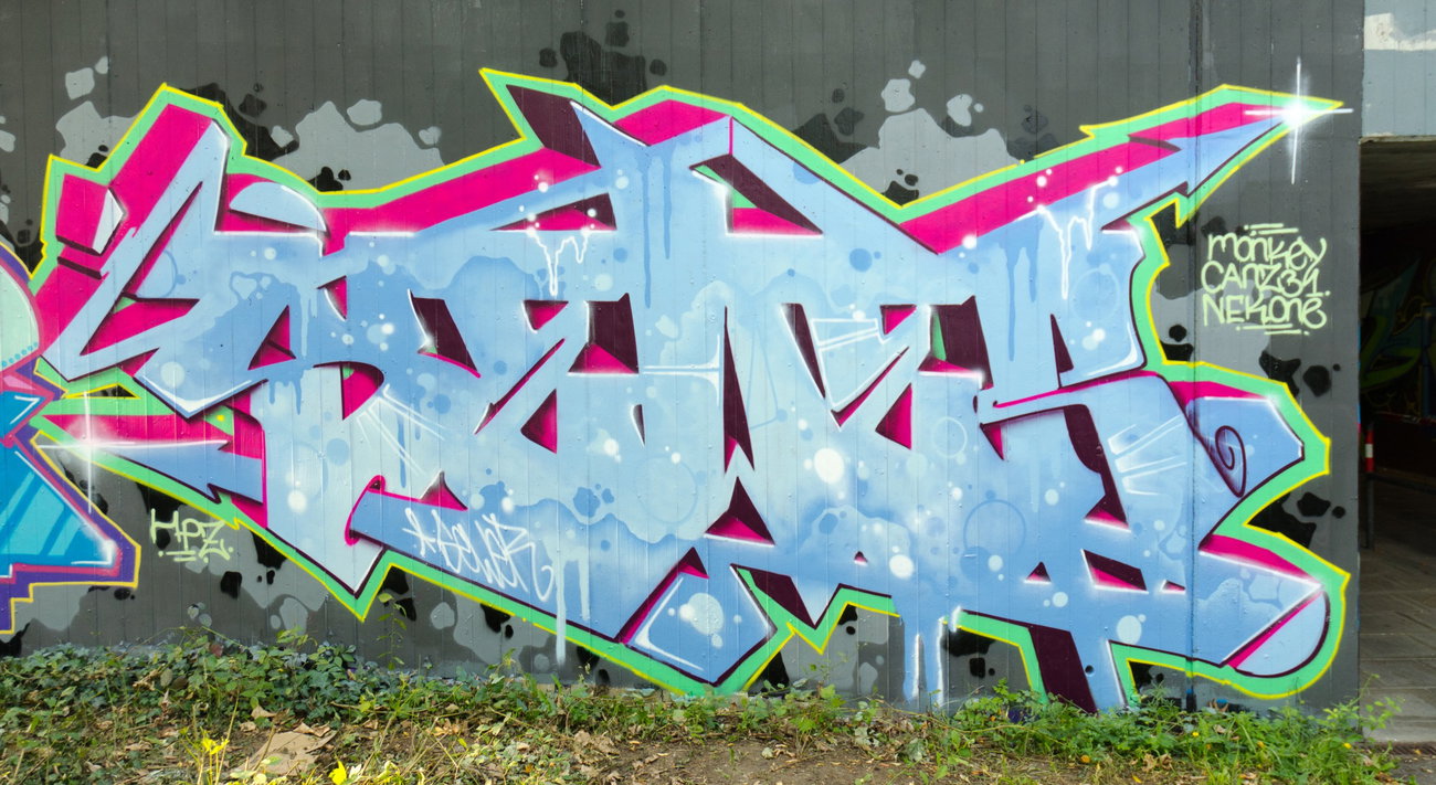 Graffiti in Würzburg - Photo by SEWER (2015)