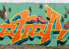 Graffiti Wall in Würzburg - Photo by SEWER (2016)