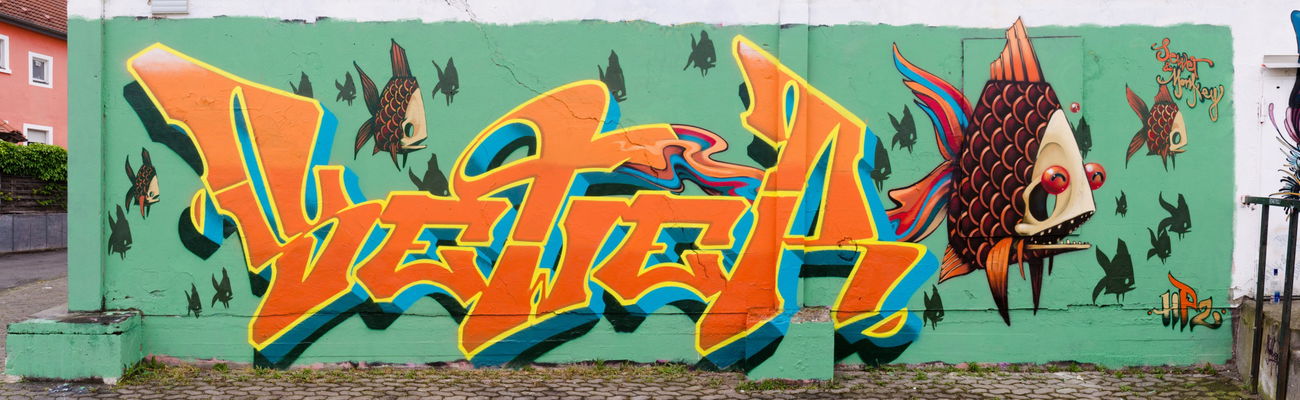 Graffiti Wall in Würzburg - Photo by SEWER (2016)