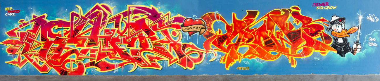 Graffiti Wall in Würzburg - Photo by SEWER (2016)