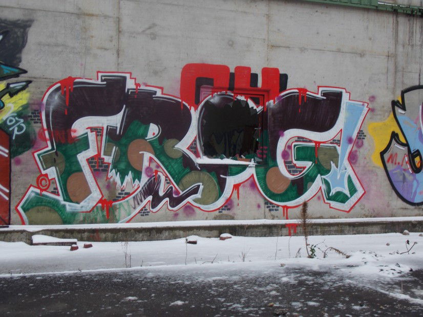 Graffiti Bombing in Bonn - Photo by SEaone - OH, Frog