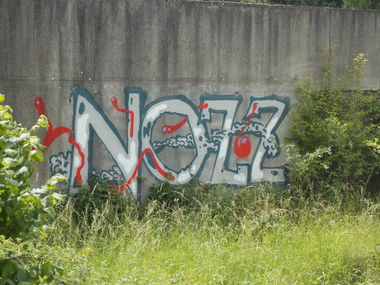 Graffiti Bombing in Bonn - Photo by SEaone - Sod, OH