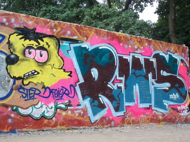 Graffiti Wall - Photo by SEaone - RWS, feier (2013)