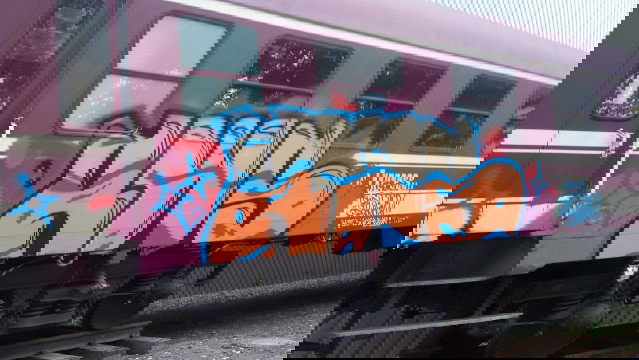 Graffiti Train - Photo by SEaone - RWS (2012)