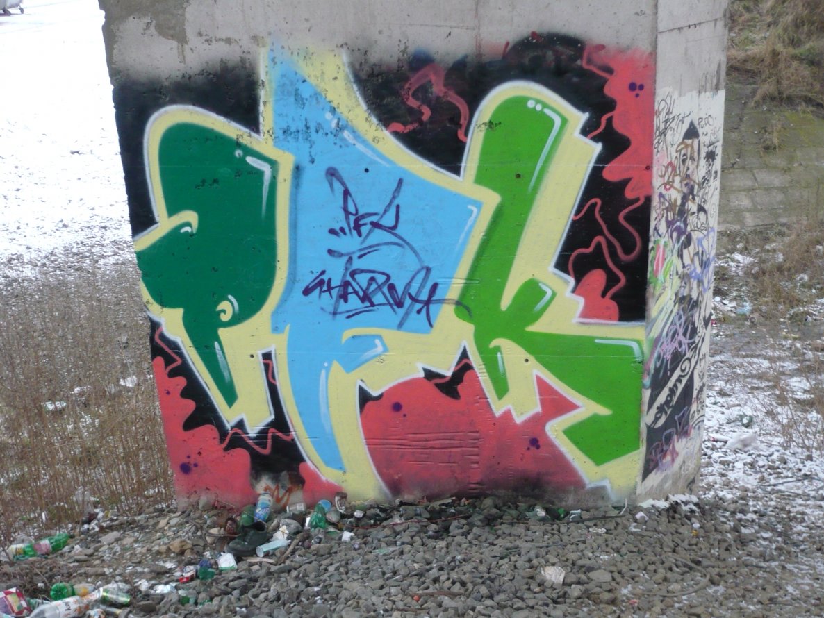 Graffiti Bombing - Photo by SHARM - PFK (2010)