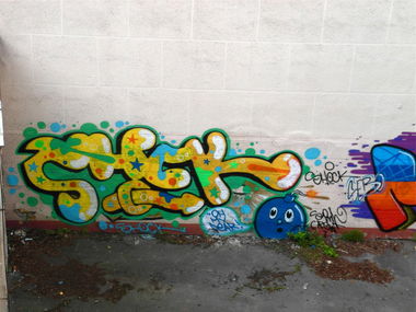 Graffiti Bombing in Warsaw - Photo by SHC