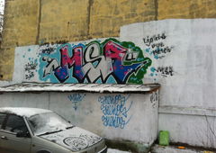 Photo #60458 by Coler