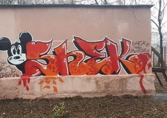 Photo #60462 by Coler