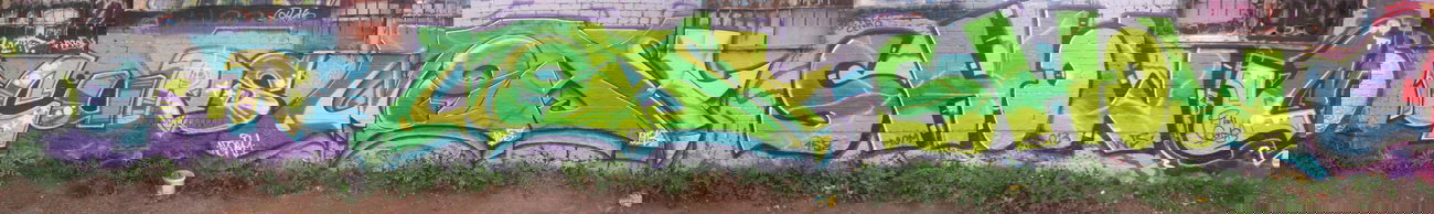 Graffiti Wall - Photo by SHOW - CURS, NOAH, SHOW (2013)