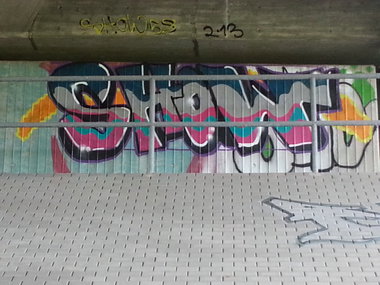 Graffiti Bombing - Photo by SHOW - SHOW, WS (2013)