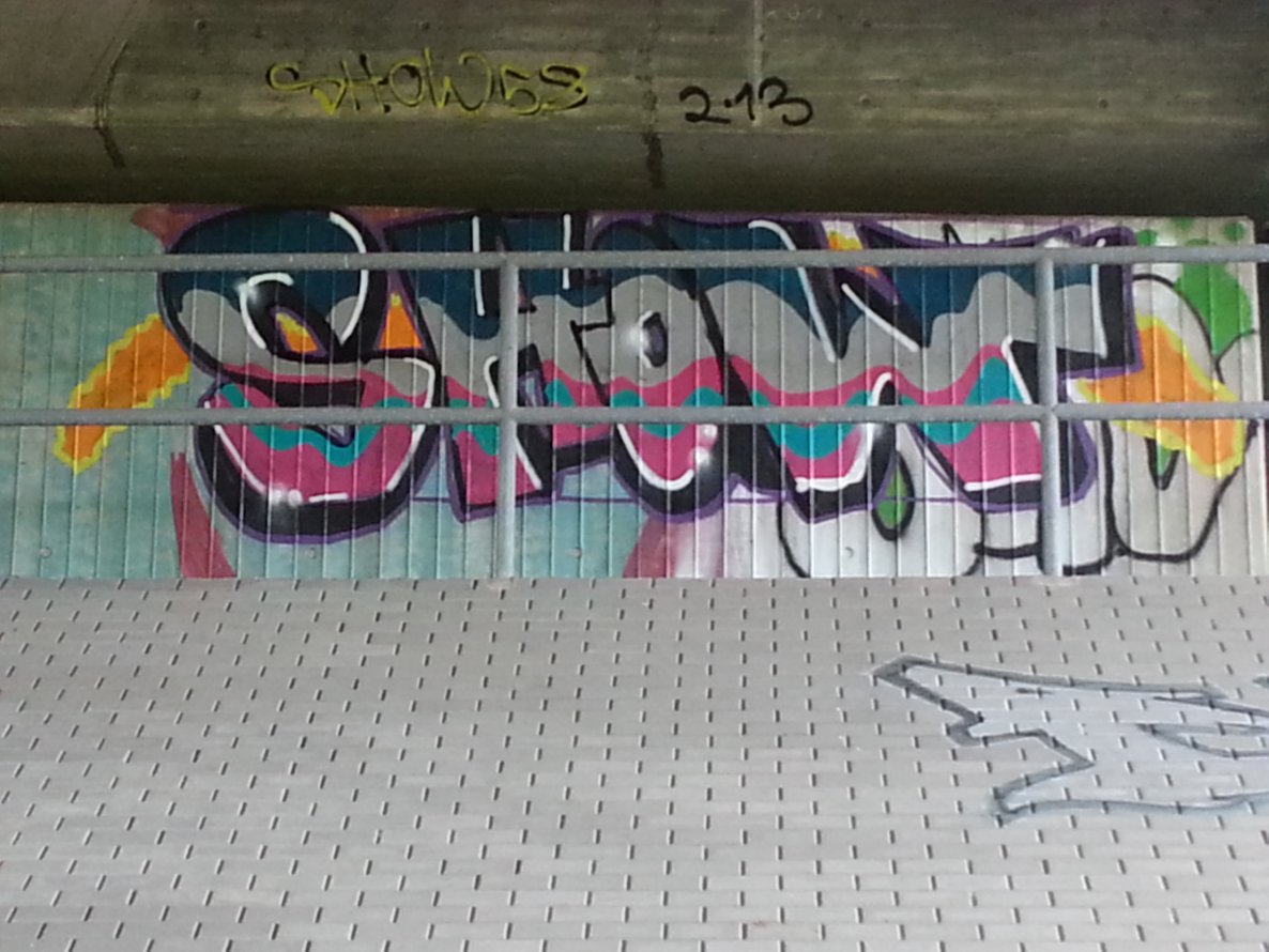 Graffiti Bombing - Photo by SHOW - SHOW, WS (2013)