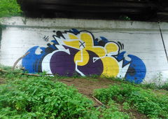 Photo #205225 by zwolli