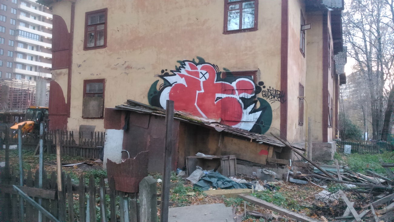 Graffiti Bombing - Photo by SHYA108