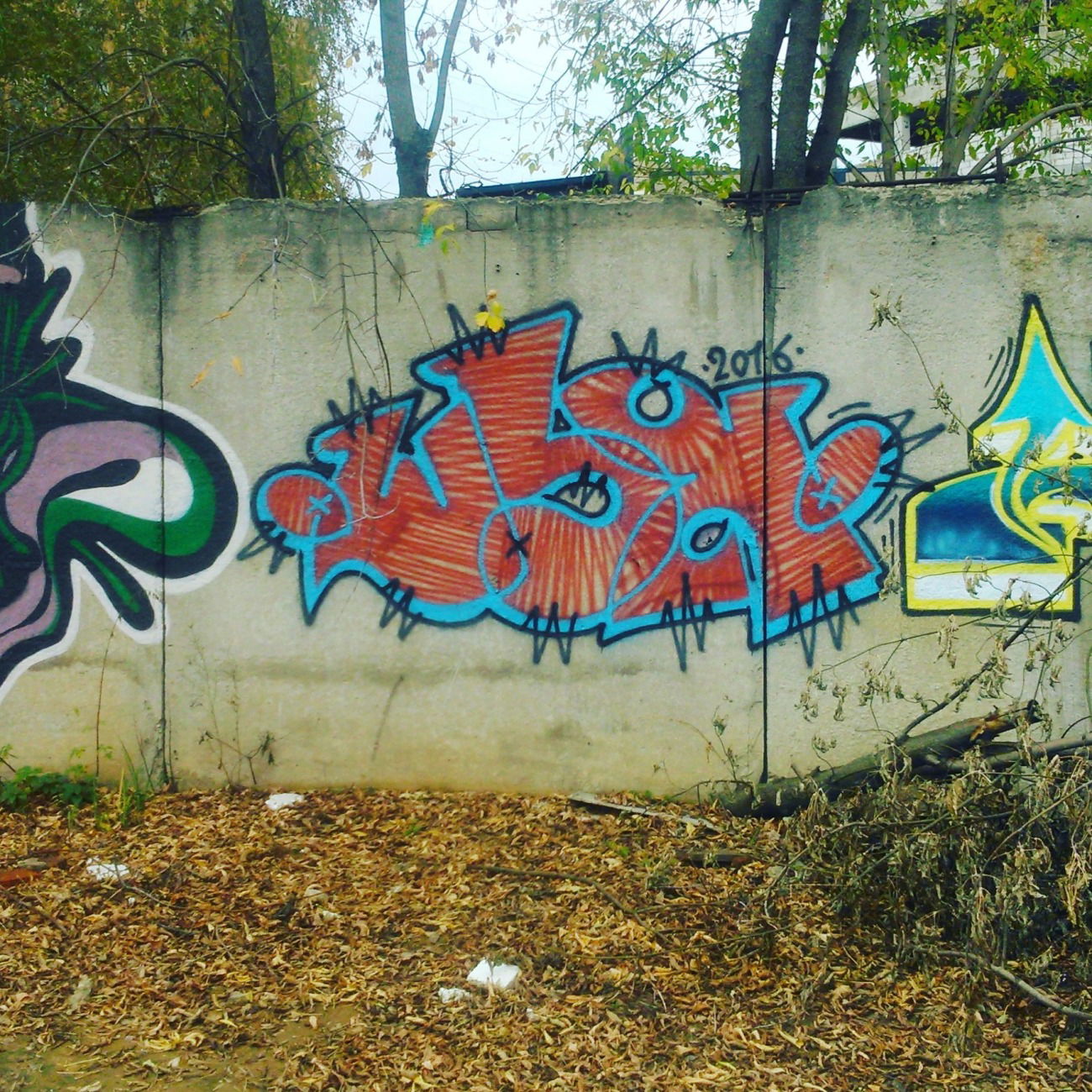 Graffiti Bombing - Photo by SHYA108