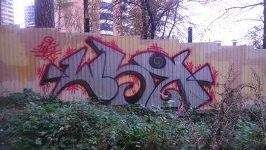 Graffiti Bombing - Photo by SHYA108