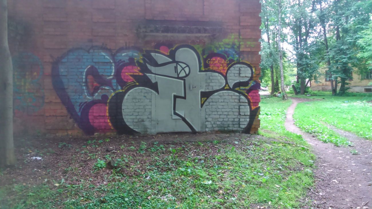 Graffiti Bombing - Photo by SHYA108