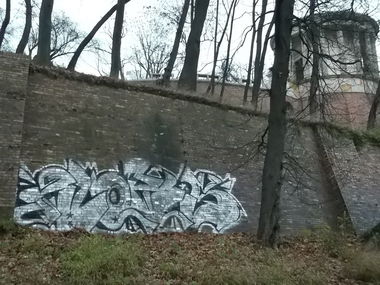 Graffiti Bombing - Photo by SHor86