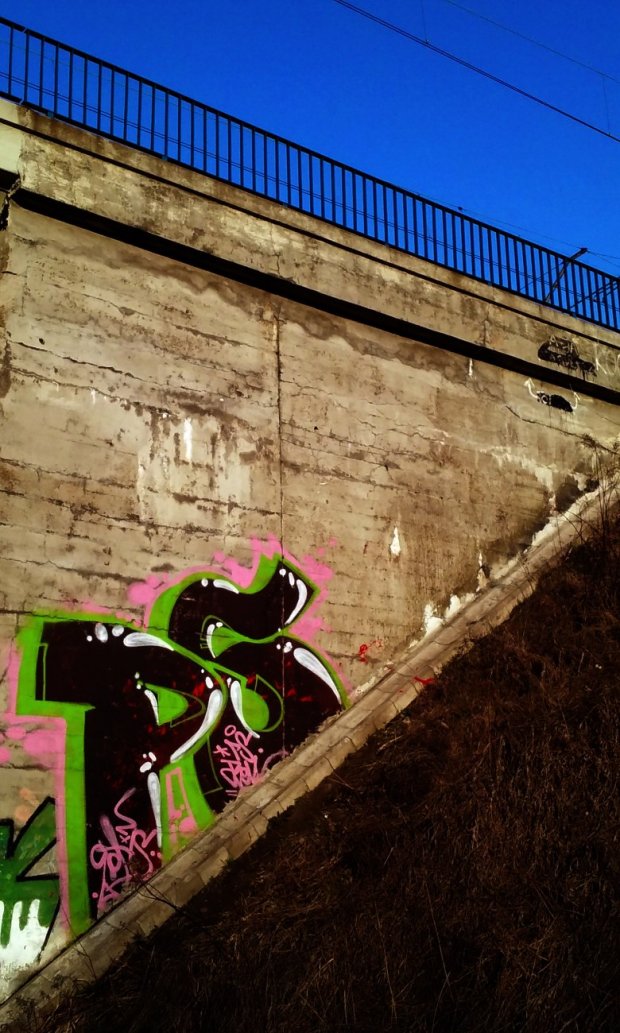 Graffiti Bombing - Photo by SHor86