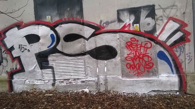 Graffiti Bombing - Photo by SHor86