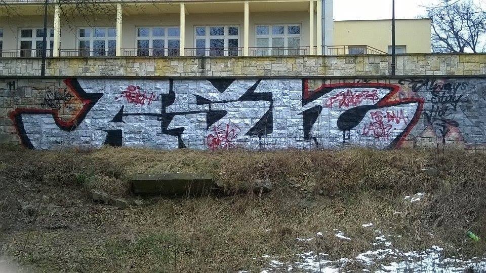 Graffiti Bombing - Photo by SHor86