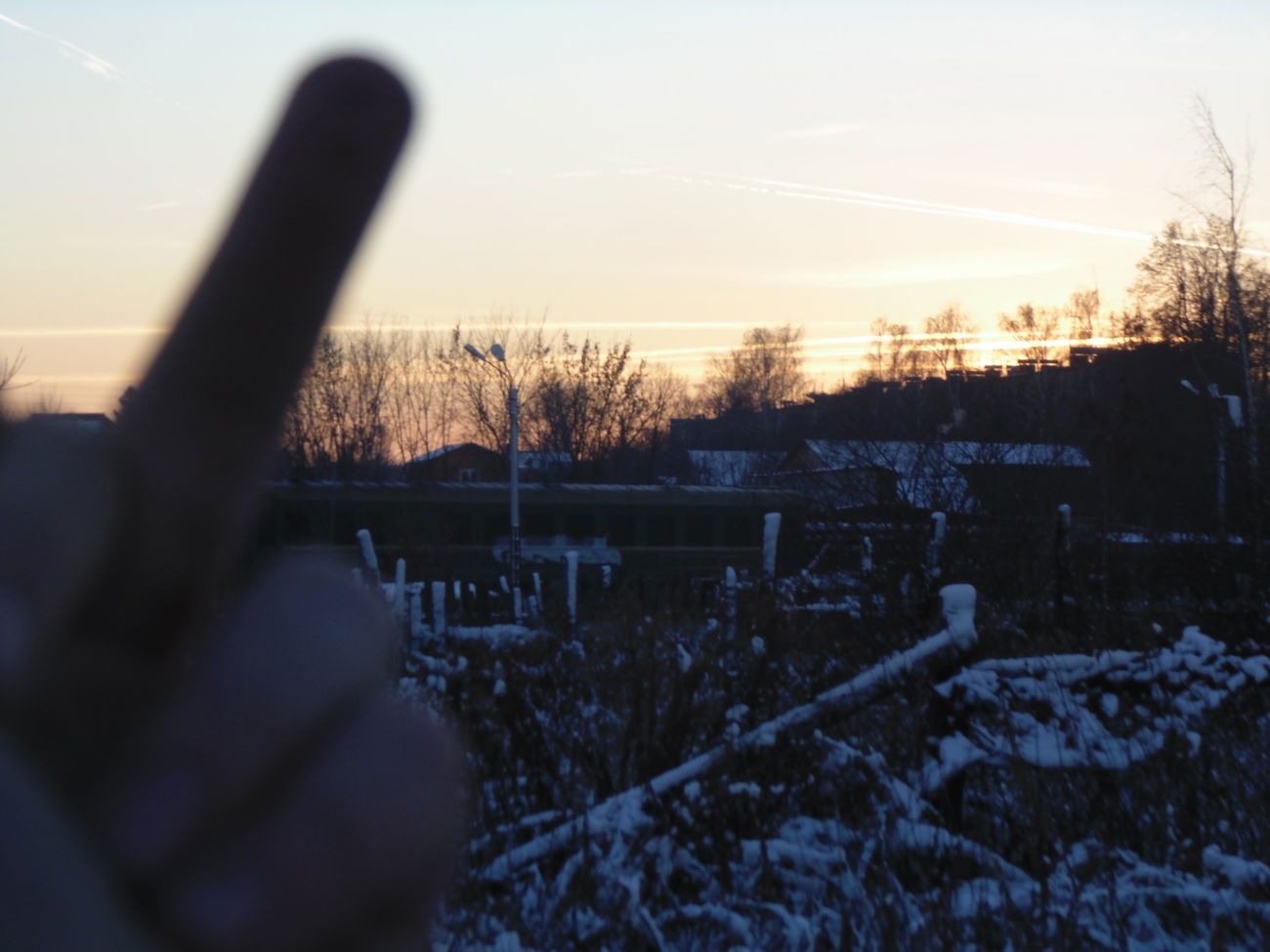 Graffiti Train - Photo by SIATFAS - tfas, anfin, fuckcops