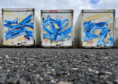 Photo #249412 by iobe1