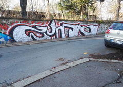 Photo #182937 by Belt