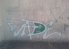 Photo #234900 by KSKINROWSKI