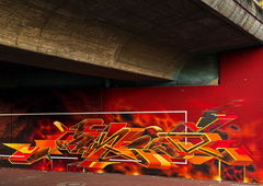 Photo #249066 by irie