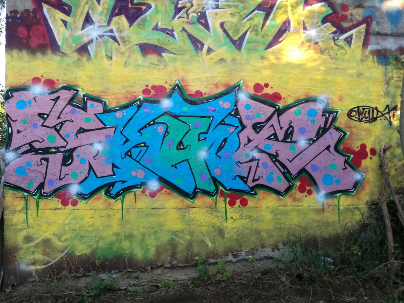 Graffiti Wall - Photo by SKUWA - Skuwa (2016)