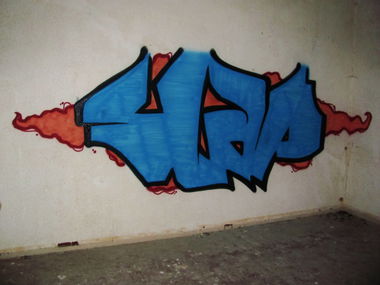 Graffiti Bombing - Photo by SLAP - slap (2013)