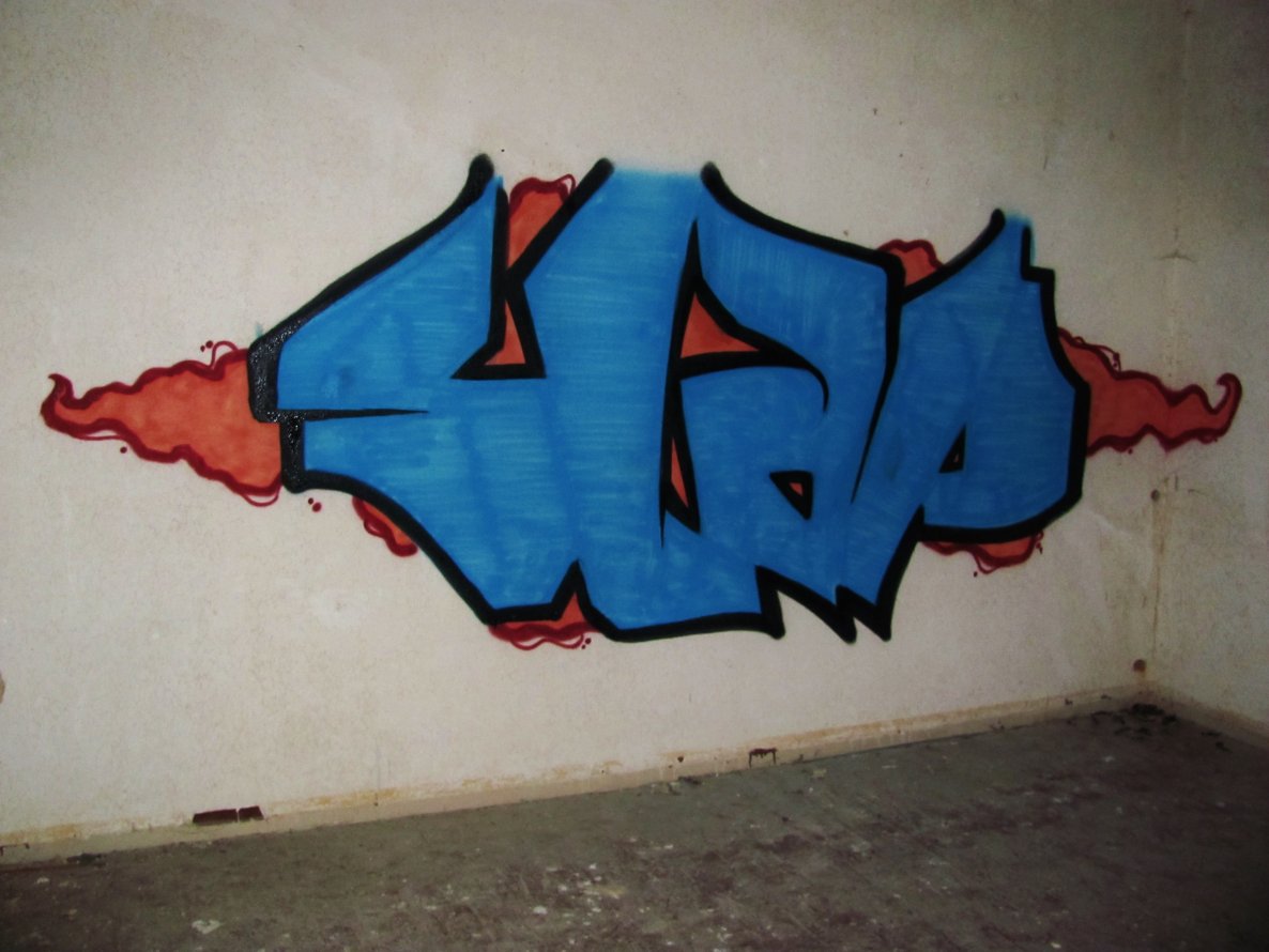 Graffiti Bombing - Photo by SLAP - slap (2013)