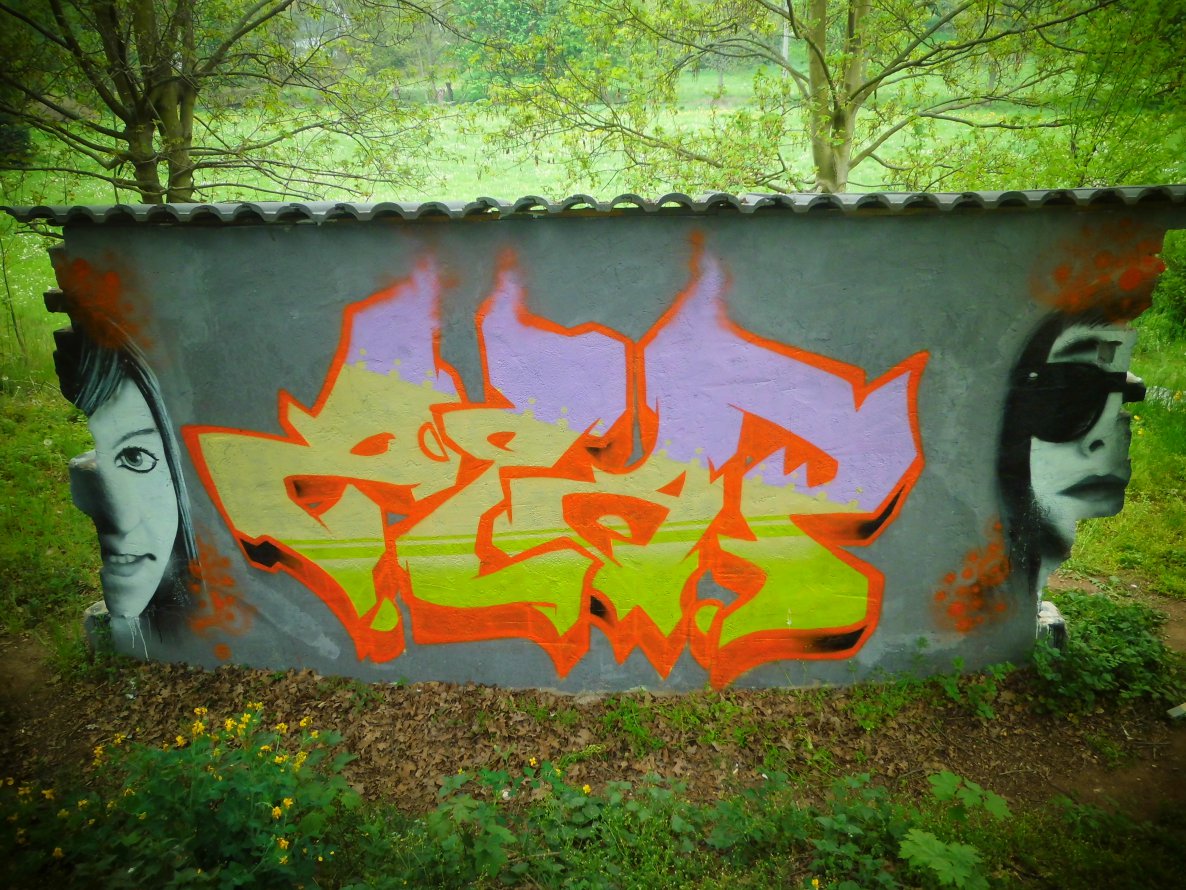 Graffiti Wall - Photo by SLAP - zlap, slap (2014)