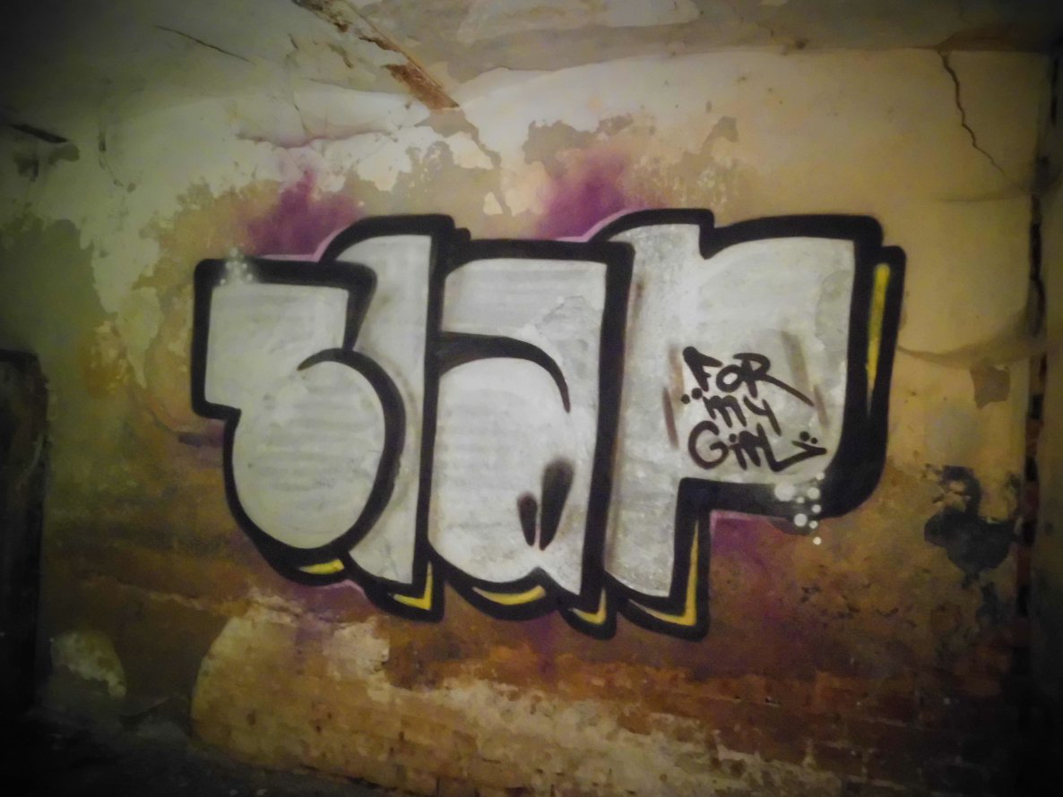 Graffiti Bombing - Photo by SLAP - slap (2014)
